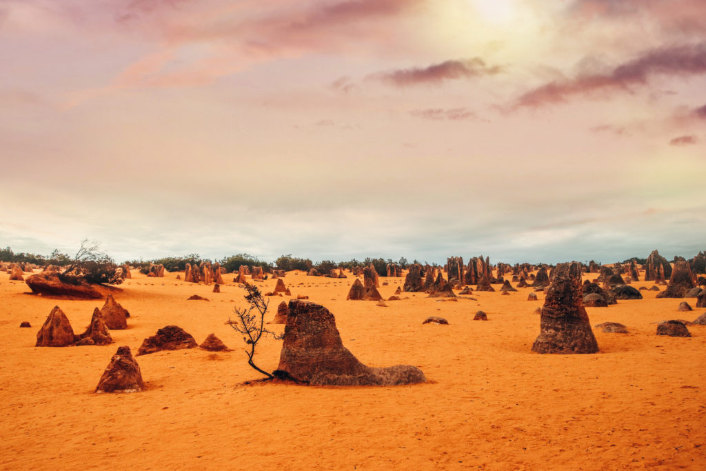 Pinnacles desert in Western Australia 
