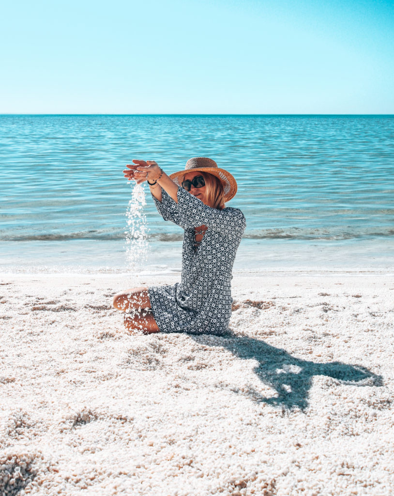 Shell Beach in Western Australia 